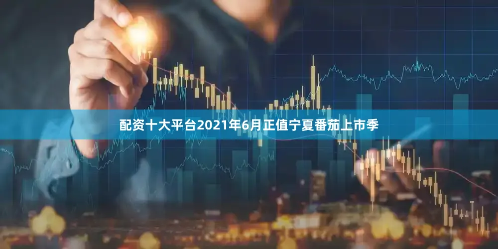 配资十大平台2021年6月正值宁夏番茄上市季