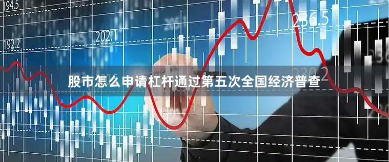股市怎么申请杠杆通过第五次全国经济普查