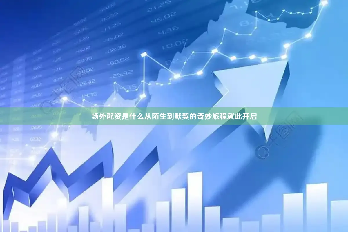 场外配资是什么从陌生到默契的奇妙旅程就此开启