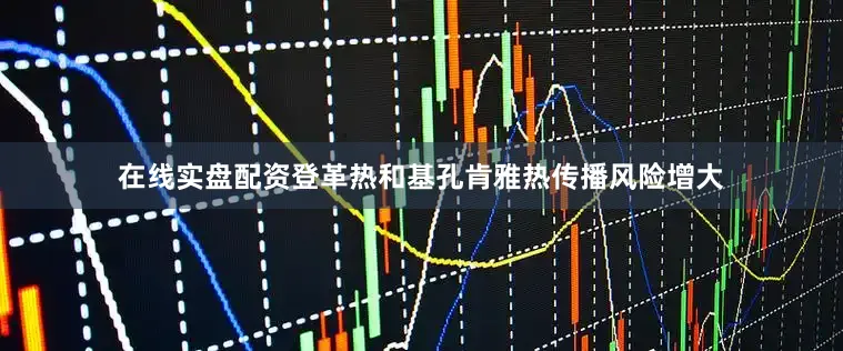 在线实盘配资登革热和基孔肯雅热传播风险增大