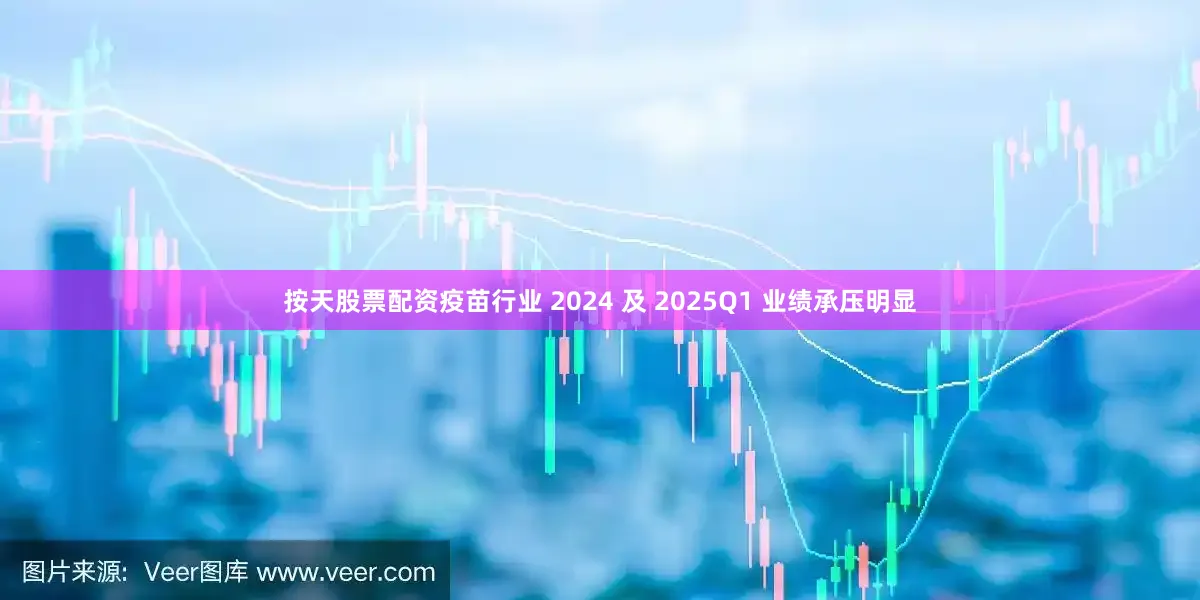 按天股票配资疫苗行业 2024 及 2025Q1 业绩承压明显