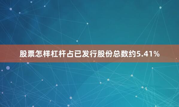 股票怎样杠杆占已发行股份总数约5.41%