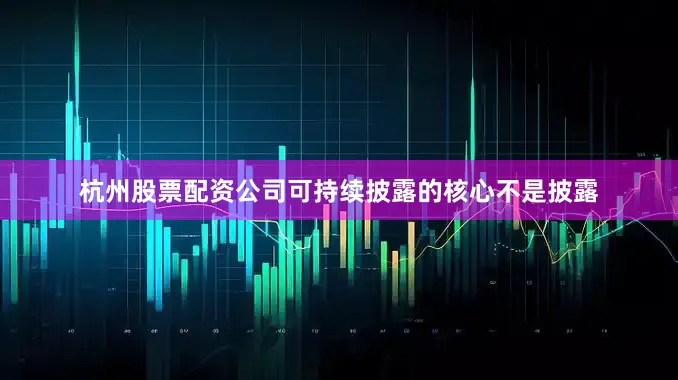 杭州股票配资公司可持续披露的核心不是披露